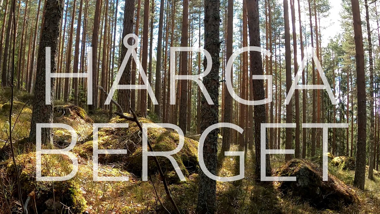 En vandring på Hårgaberget