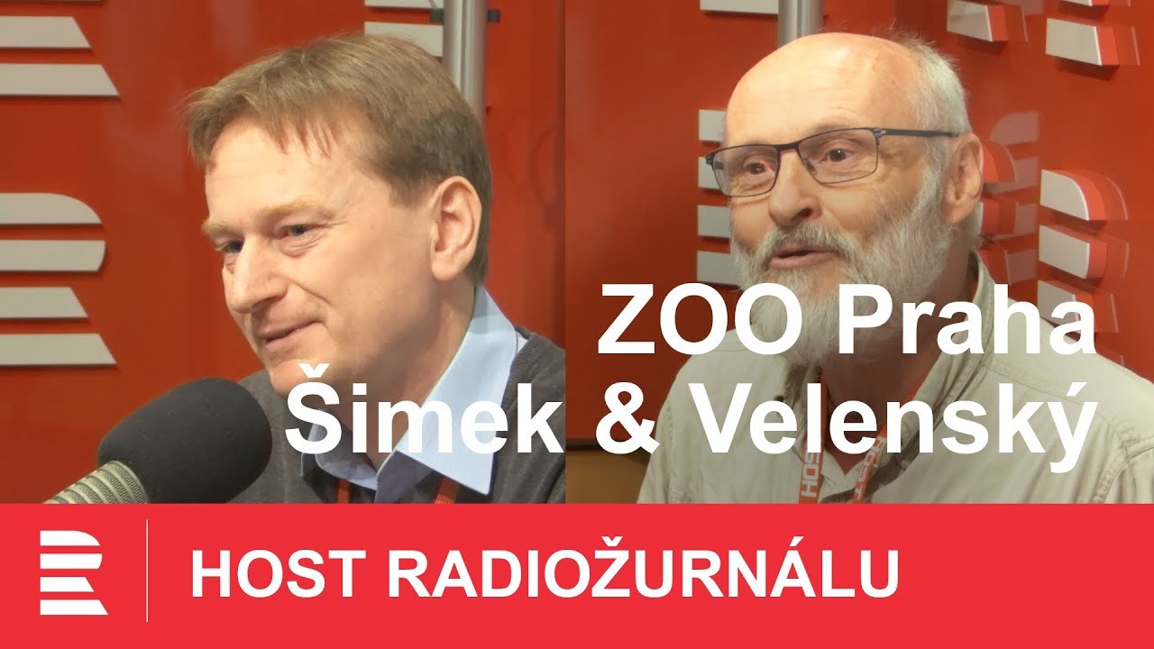 Petr Velenský: Rozmnožení želvy korunkaté je můj životní objev