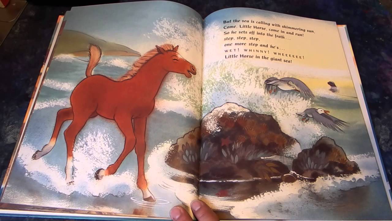 The Wild Little Horse By Rita Grey Read Aloud For Kids