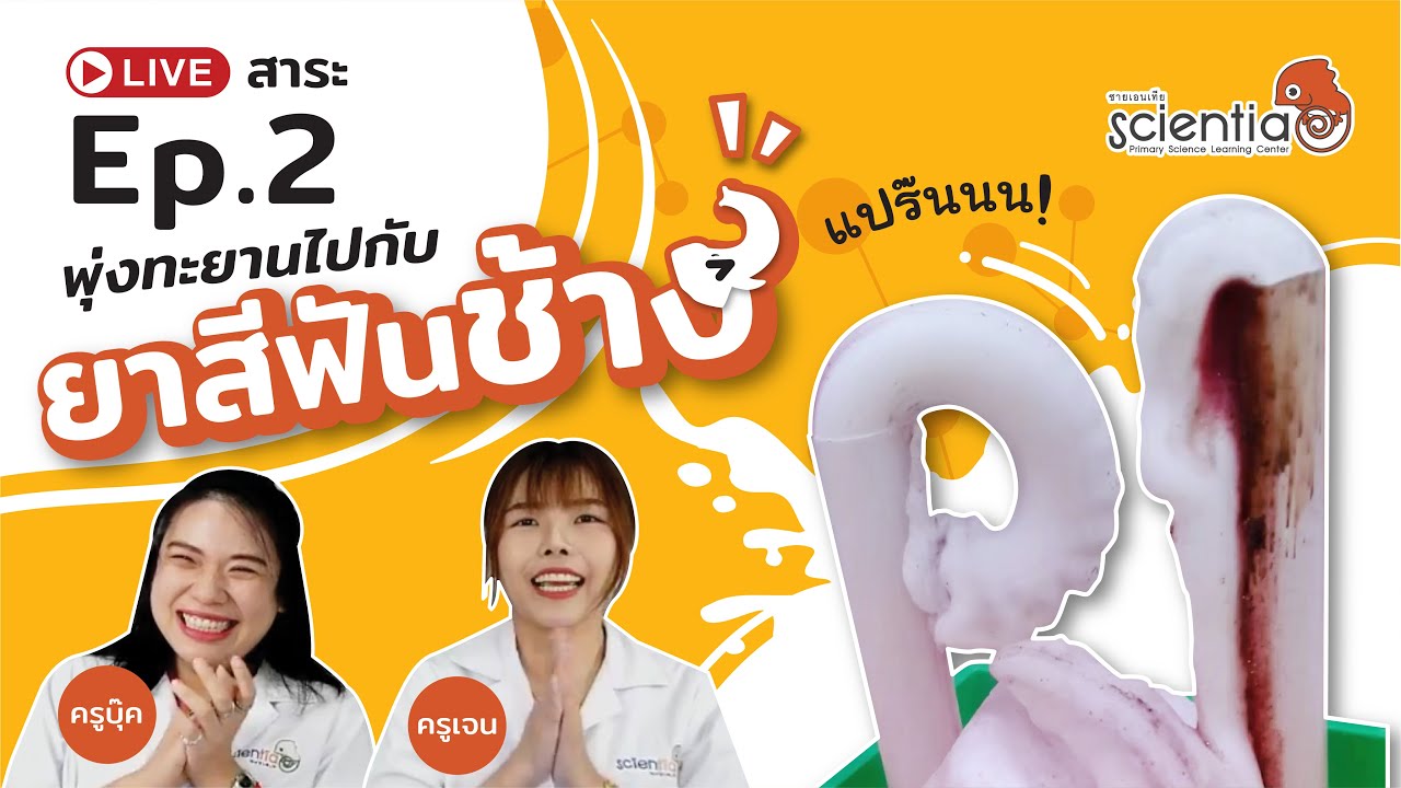 Live ep.2 l พุ่งทะยาน ไปกับยาสีฟันช้าง (ห้ามใช้แปรงฟันจริงนะ) l Scientia