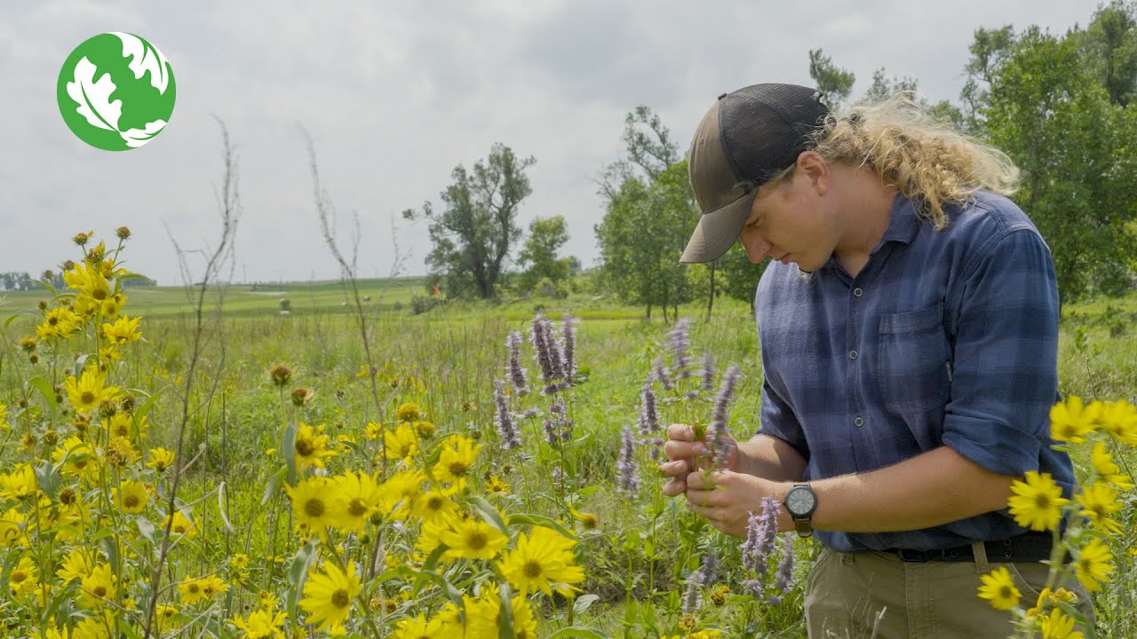 Deciphering Diversity in South Dakota's Grasslands