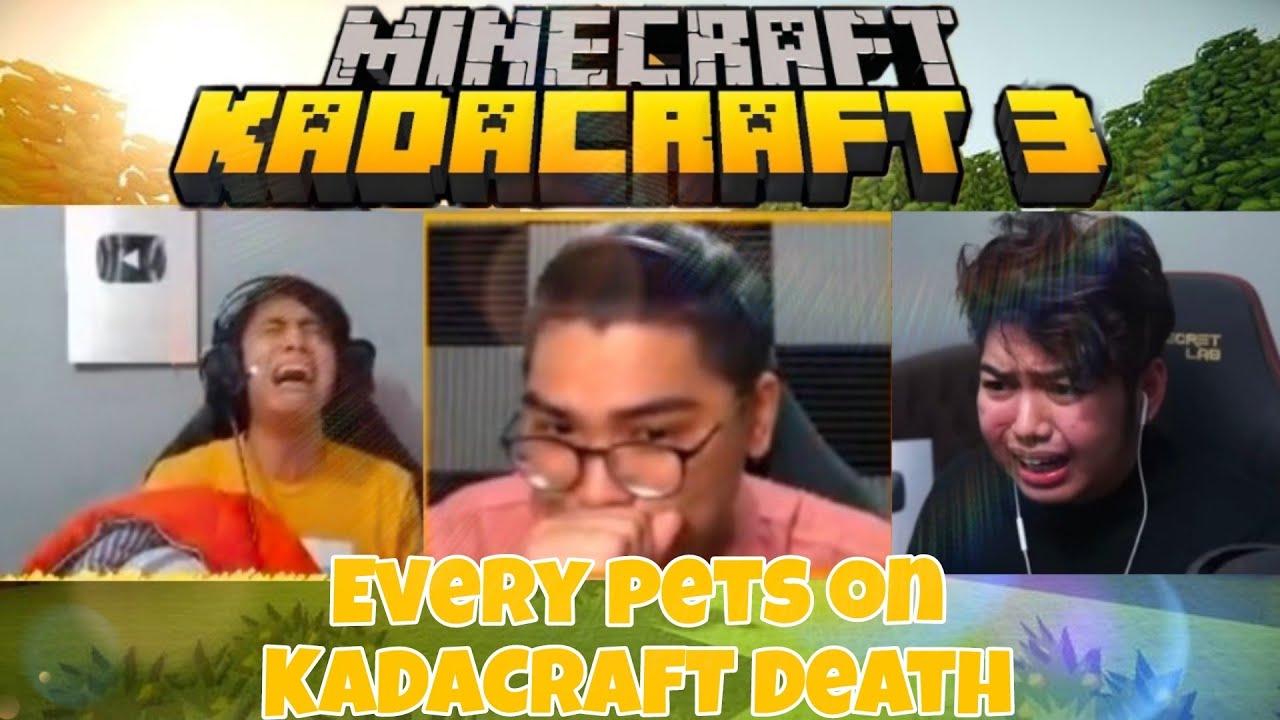 kadacraft member reaction when they pet die