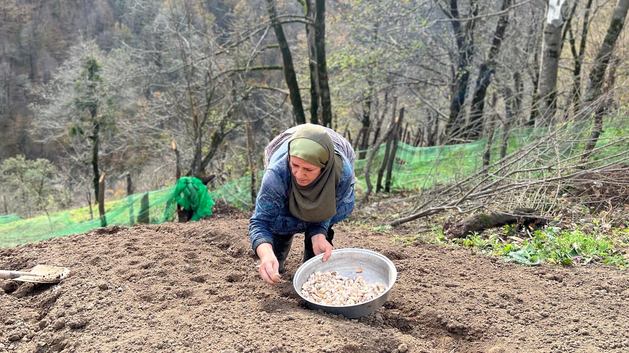 HOW PEOPLE LIVES IN THE SMALL VILLAGE IN MOUNTAINS OF GILAN?