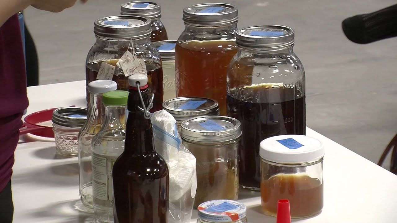 How to make probiotic drinks | The Columbia Chronicle