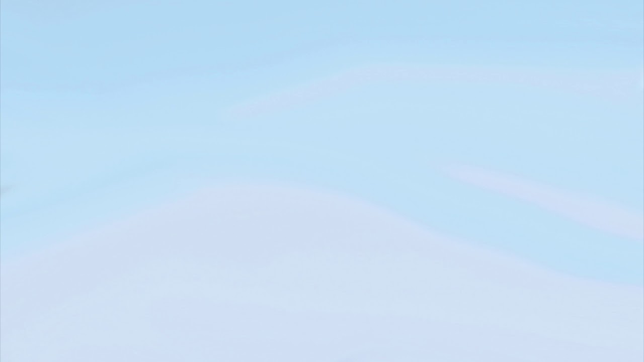 SimpleAlpaca - Leftovers