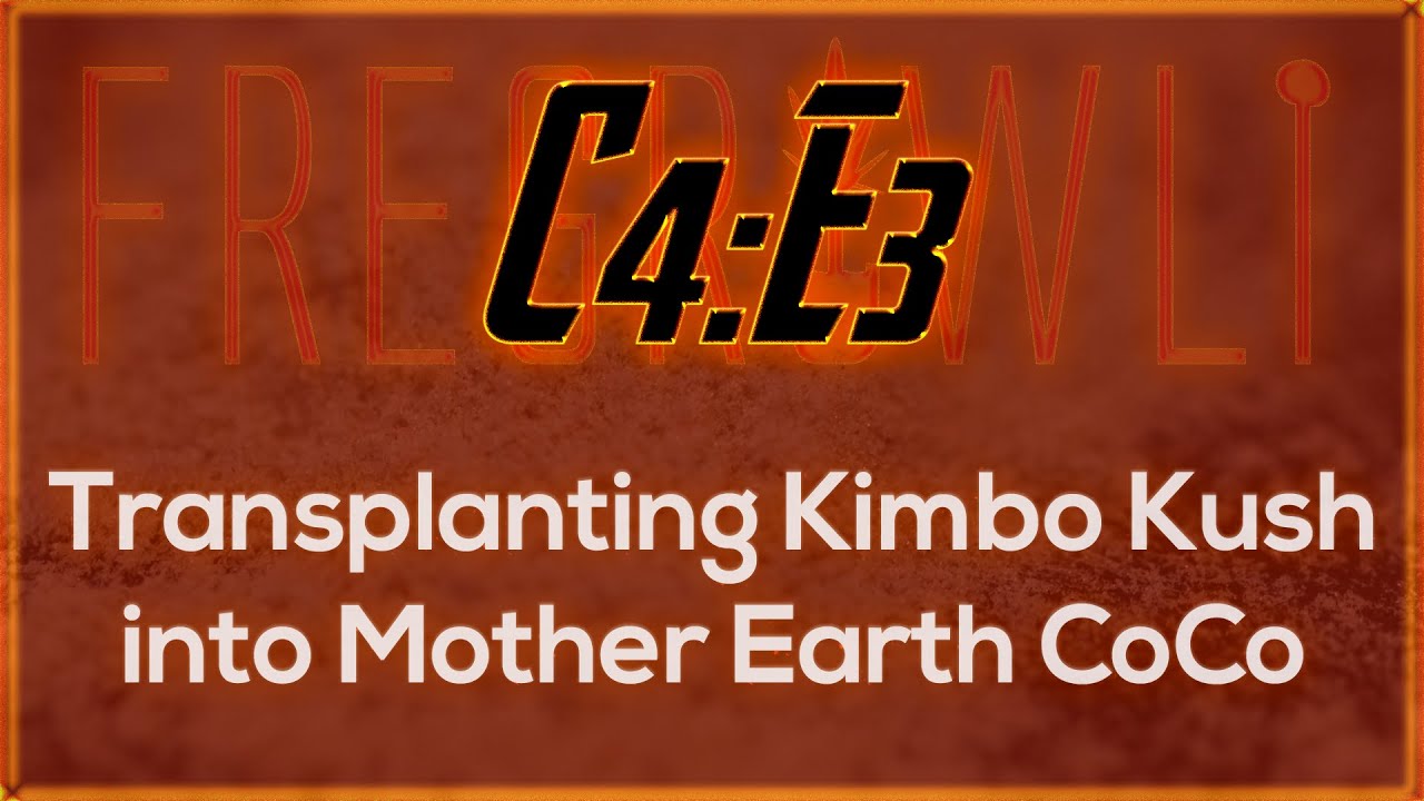 C4:E3 - Transplanting Kimbo Kush into CoCo