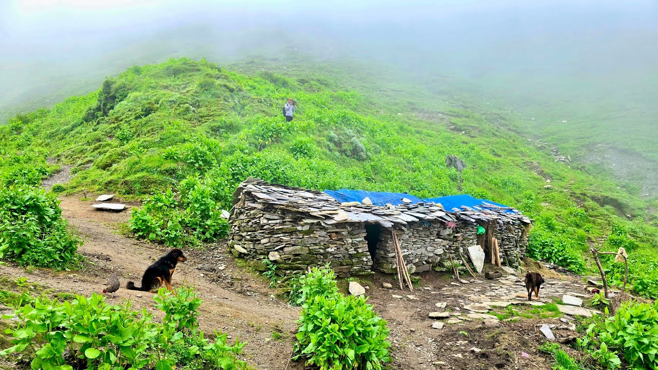 Naturally Beautiful Mountain Village Life During the Rain | Most Peaceful And Relaxation Rural Life