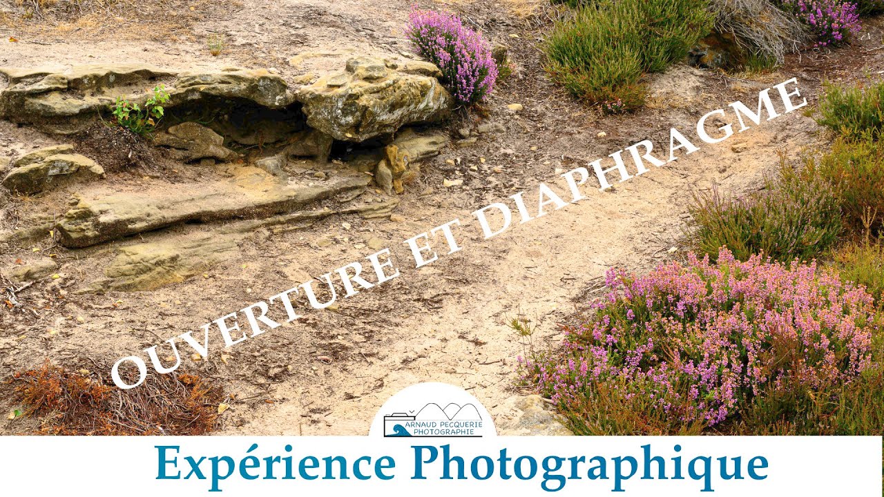 Ouverture, diaphragme et profondeur de champ | Tuto Photographie