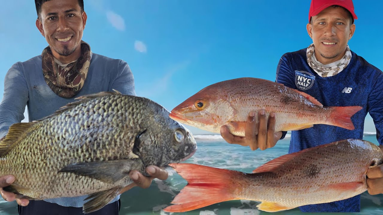 Pesca de Pargos Frentes a las Costas de la Libertad 