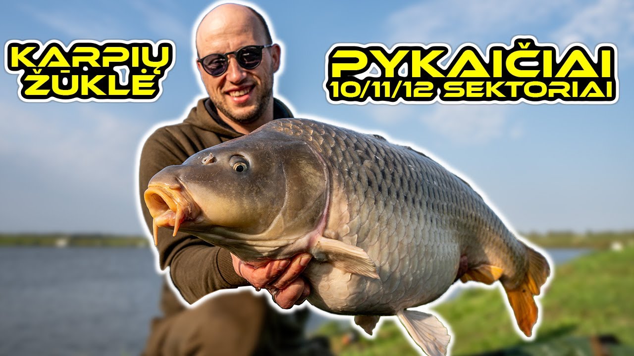 Karpių žvejyba. Pykaičiai - 10/11/12 sektoriai. (Carp Fishing @ Pykaiciai lake)