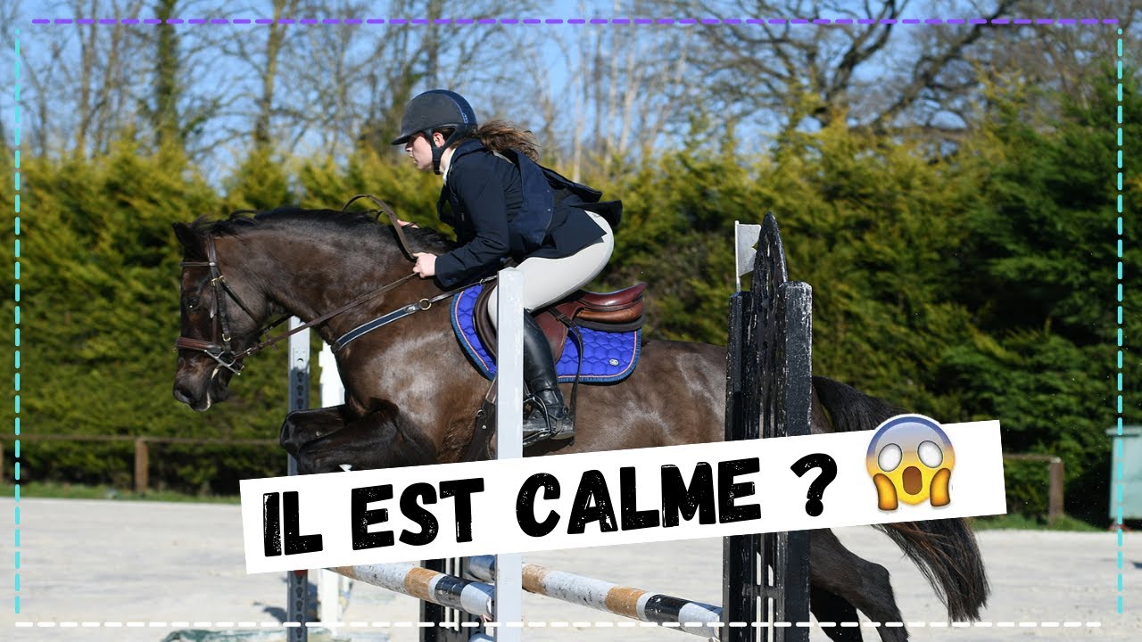 #CONCOURS - Un tour dans le calme ? 🤩​