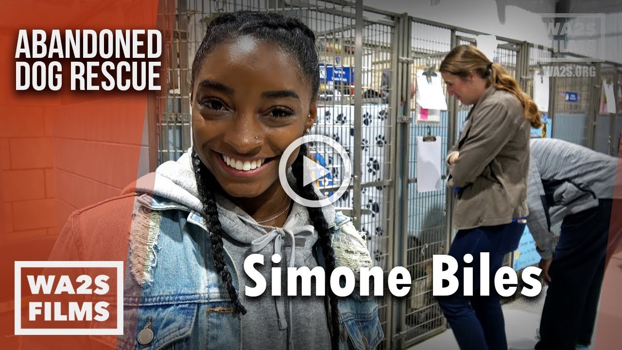 Simone Biles Spends A Night In the Dog House Helping Adopt Out Dogs - The Abandoned Dog Rescue Show