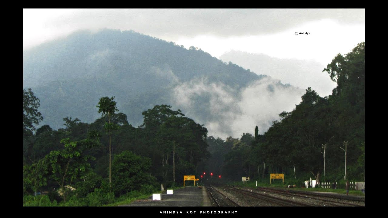 Indian Railway Journey through the hills and forests of Dooars