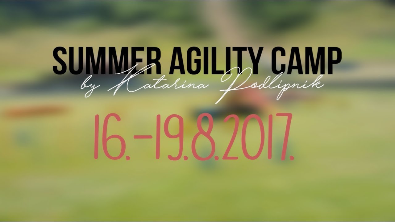 SUMMER agility camp by Katarina Podlipnik, 16.-19.8.2017.