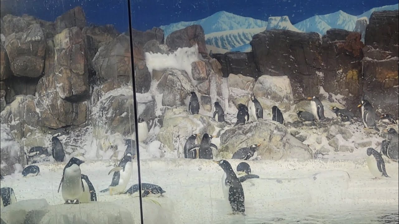 Seaworld was disappointing