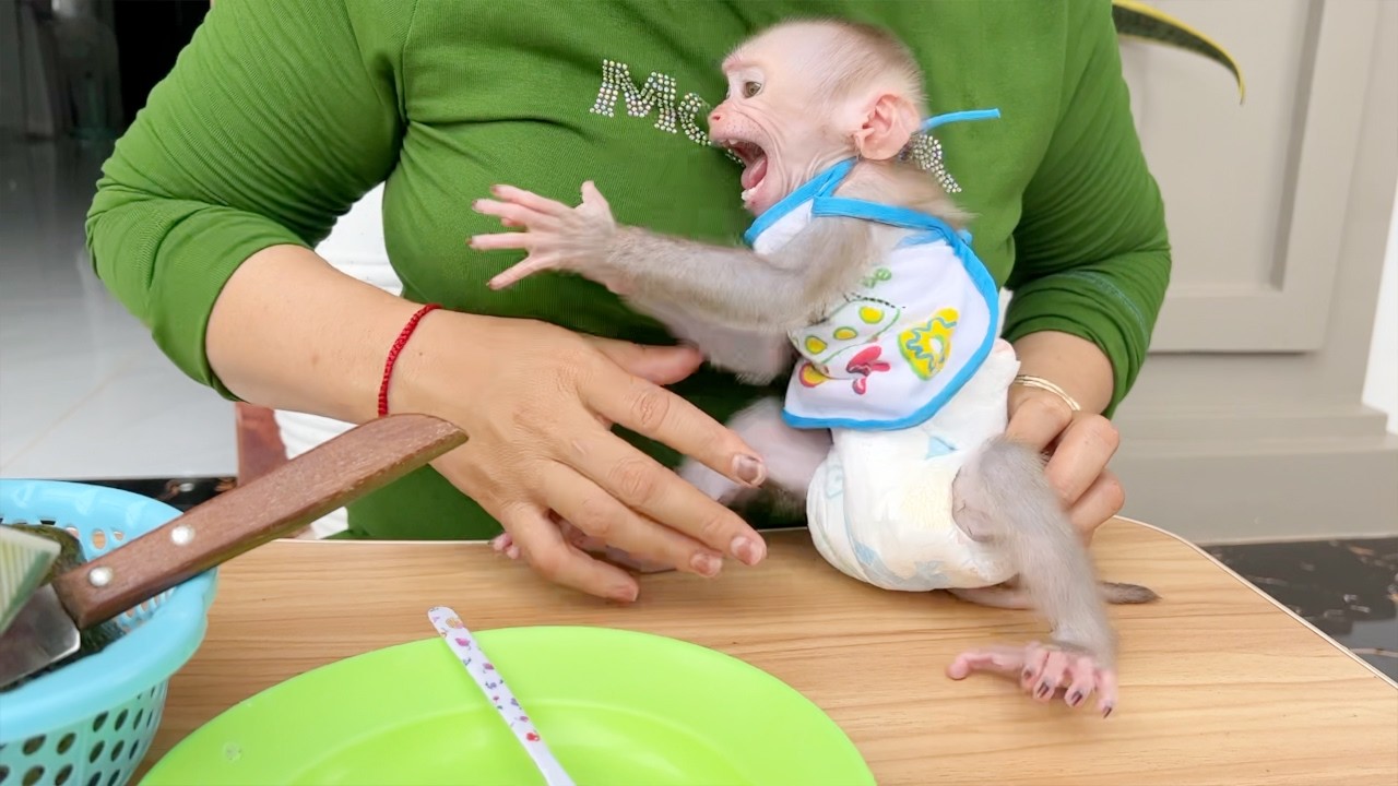 Stubborn & Spoiled Tiny Baby Tauch Reject Sitting For Mom Feeding