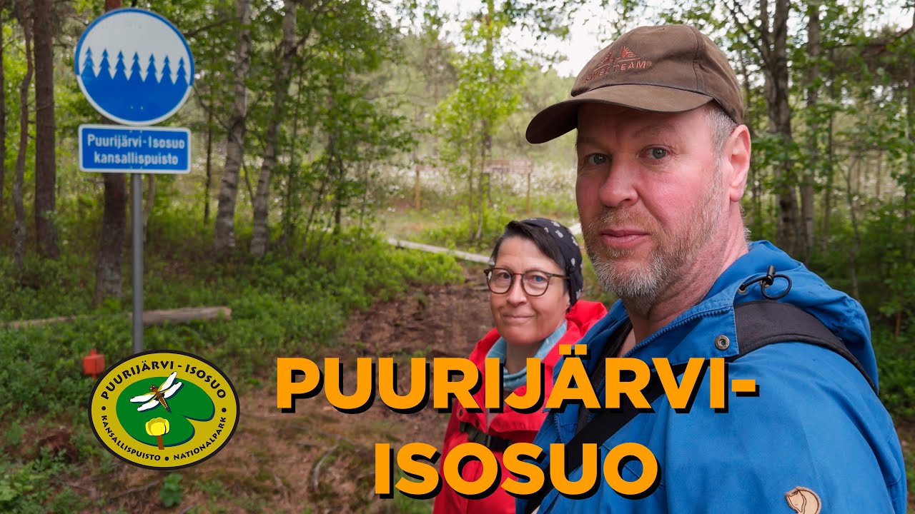 Puurijärvi - Isosuon kansallispuisto ⎜Juhannus 2025