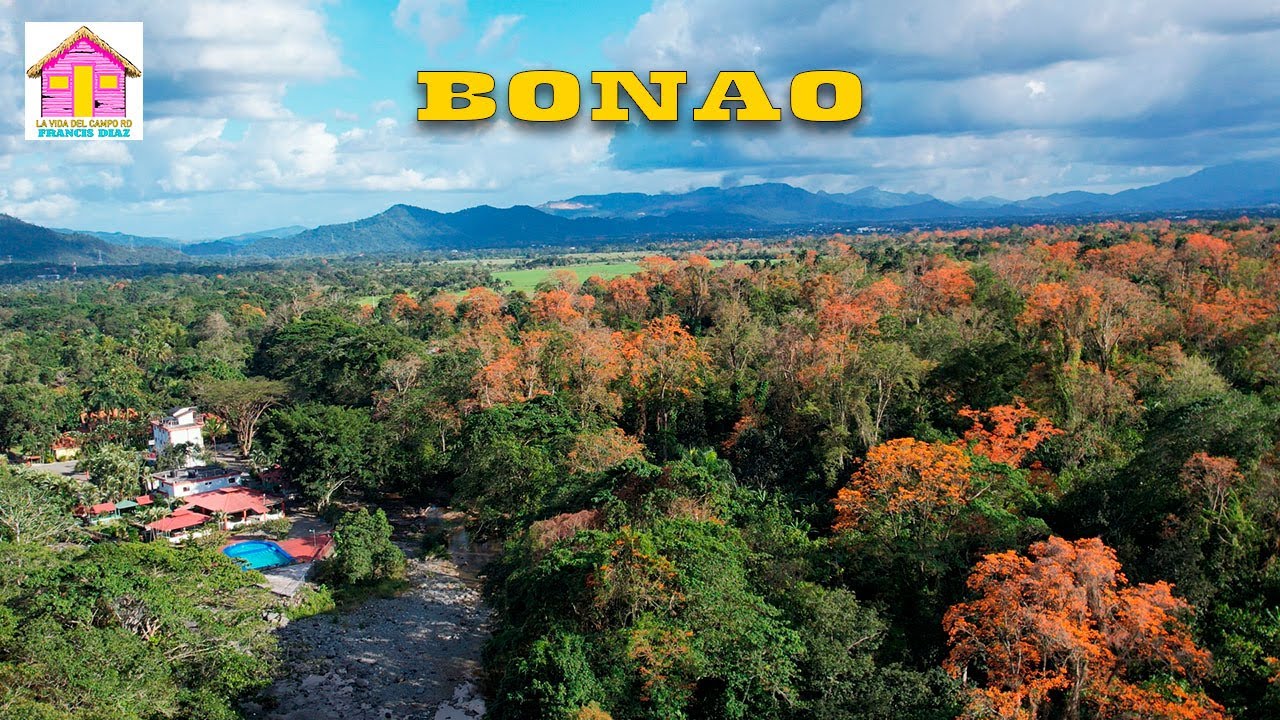 LAS AMAPOLAS DE BONAO REPUBLICA DOMINICANA