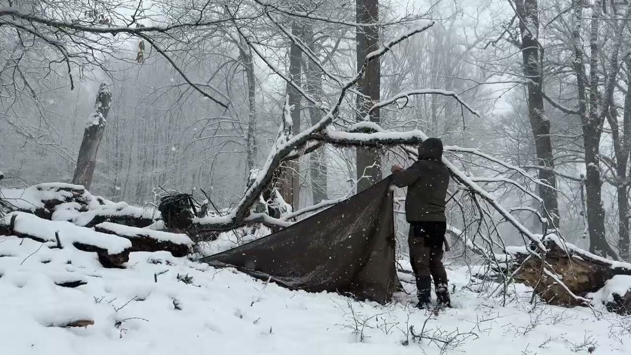 Trapped in the wild forest under heavy snowstorm  Extreme winter survival challenge,fire & bushcraft