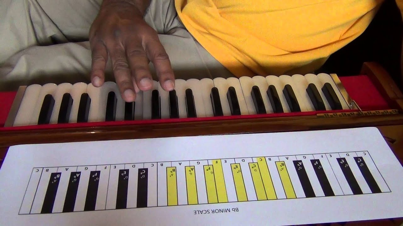 205 Harmonium Lessons for Beginners
