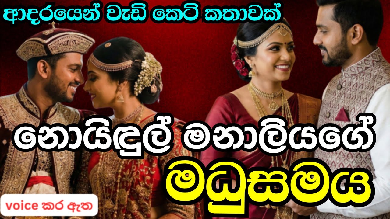 නොයිඳුල් මනාලියගේ මධුසමය/කෙටි කතාවක්/keti katha/ආදර කතාවක්/නව කතා/nawa katha