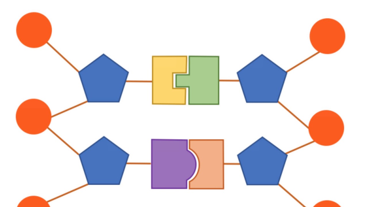 Edexcel IGCSE Human Biology 1.2 DNA