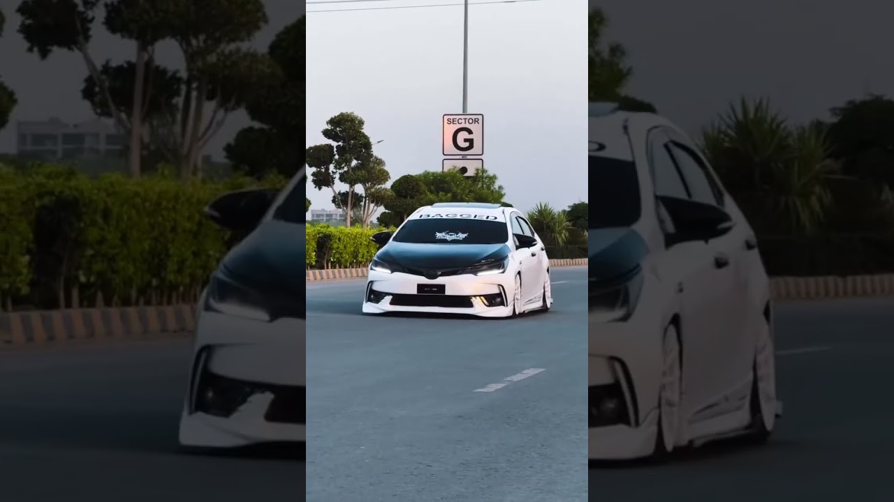 Bagged Corolla ,🖤