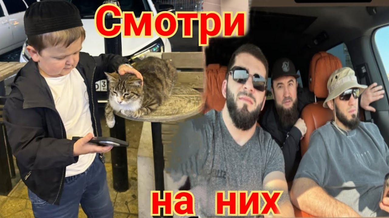 Ислам Махачев на ферме: потерялся мальчик Умар Усман проиграл спор суету наводит Хасбулла Гаджи Сага