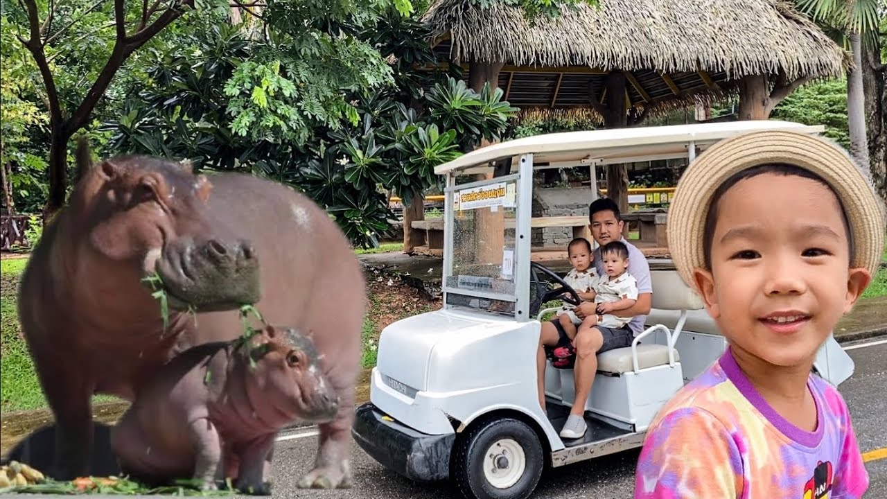 ดูลูกฮิปโปน่ารัก ที่สวนสัตว์ขอนแก่น กับน้องแฝด Let’s go to the zoo