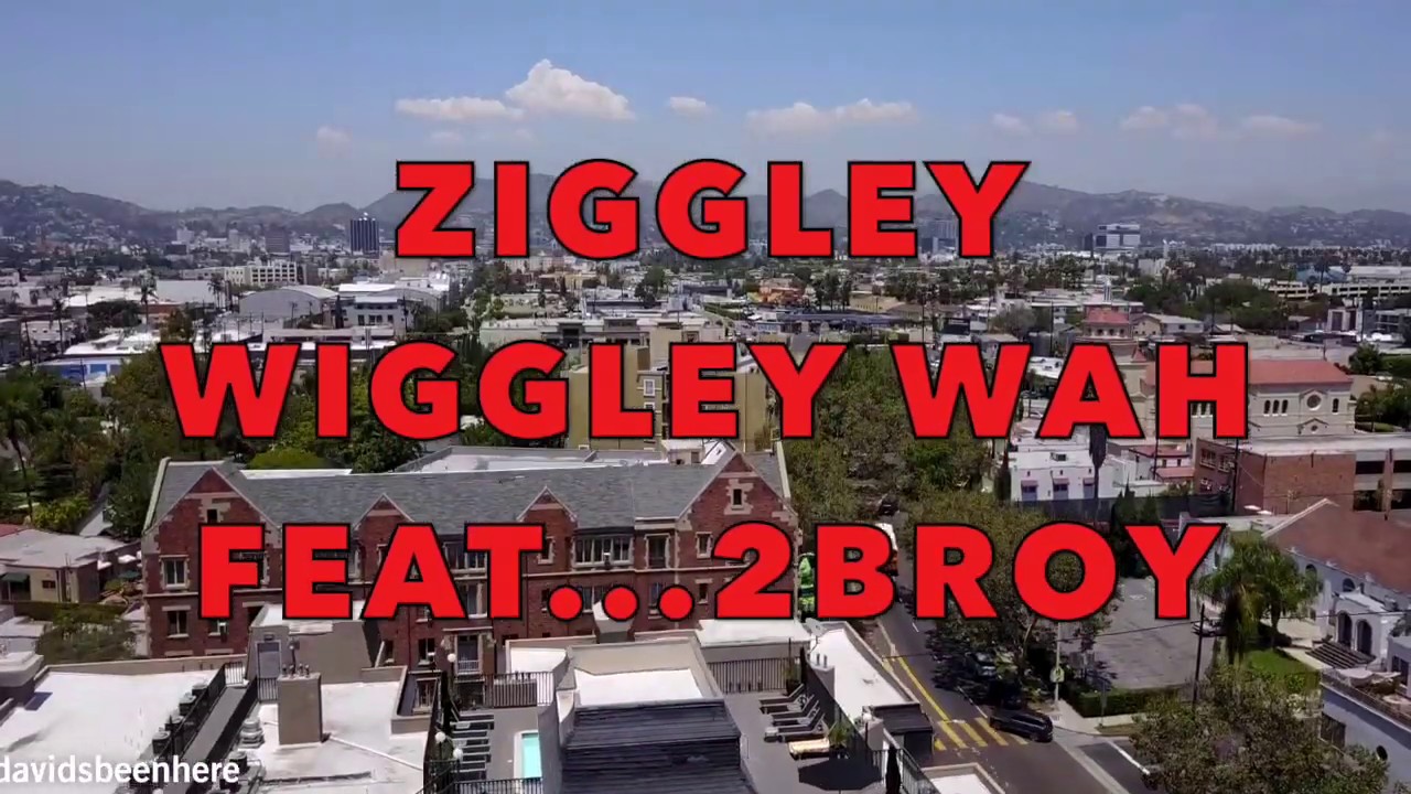 DUBPLATE SPECIAL-ZIGGLEY WIGGLEY WAH FEAT...2BROY