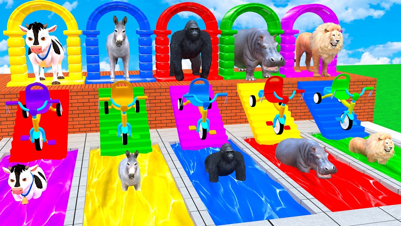 Long Slide Game With Cow Donkey Gorilla Lion Hippopotamus 3d Animal Game Funny 3d Animals