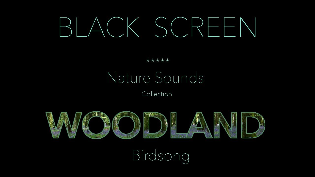 Forest Birds Chirping/Singing Nature Sounds Black Screen-Dark Screen-Johnnie Lawson Sleeping Sound
