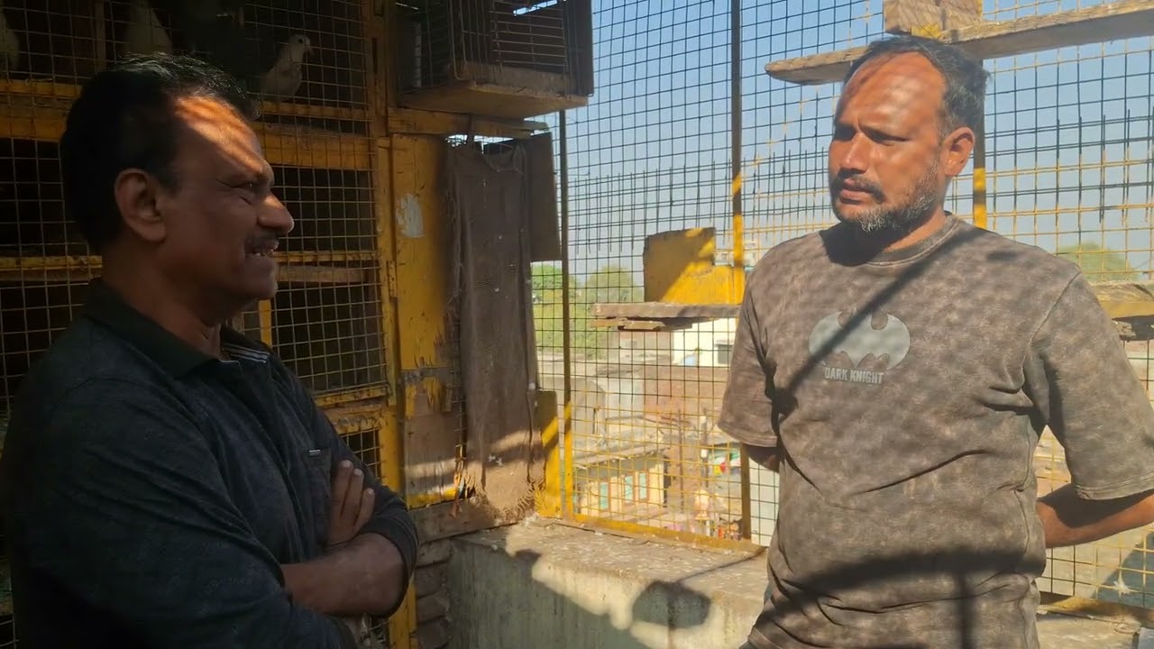 🕊️पांडेचिरी लाईन 🕊️संगम काका बोरकर 😎पंढरपूर 