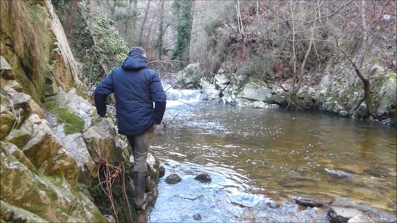 El cortejo antes de la freza y desove de los Salmones en Asturias Paraíso Natural