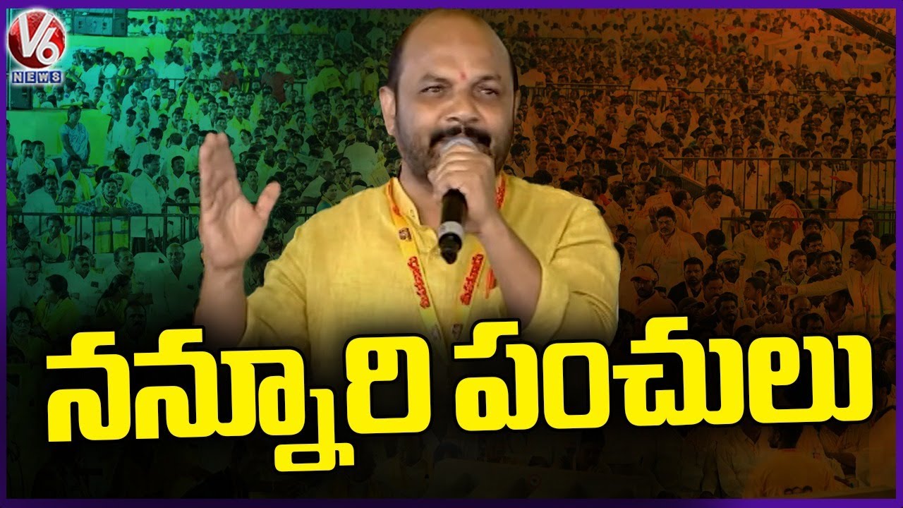 Nannuri Narsi Reddy Punch Dialogues In TDP Mahanadu | V6 News