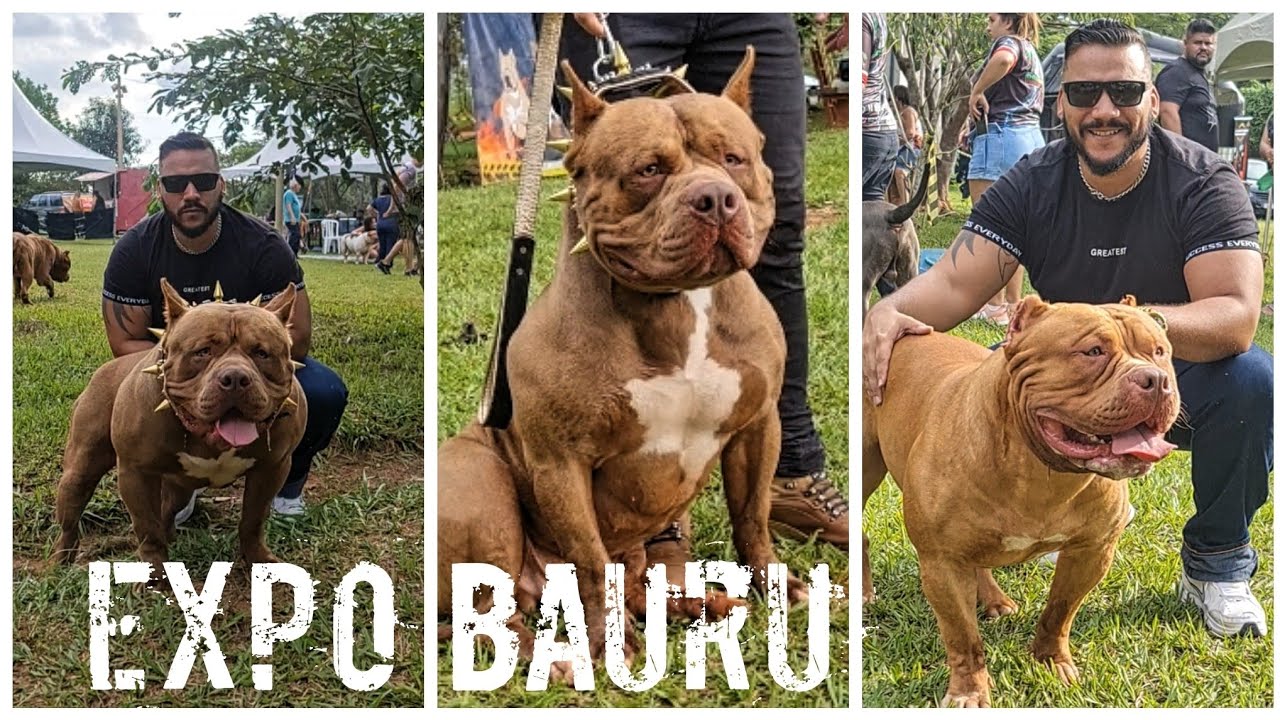 VEJA UM POUCO DO QUE ROLOU NO EXPO BULL BAURU - VOLTEI FAMÍLIA!