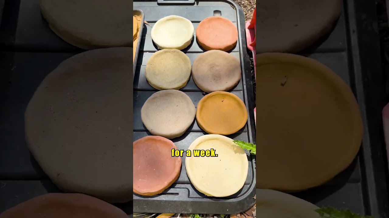 Could this really work?