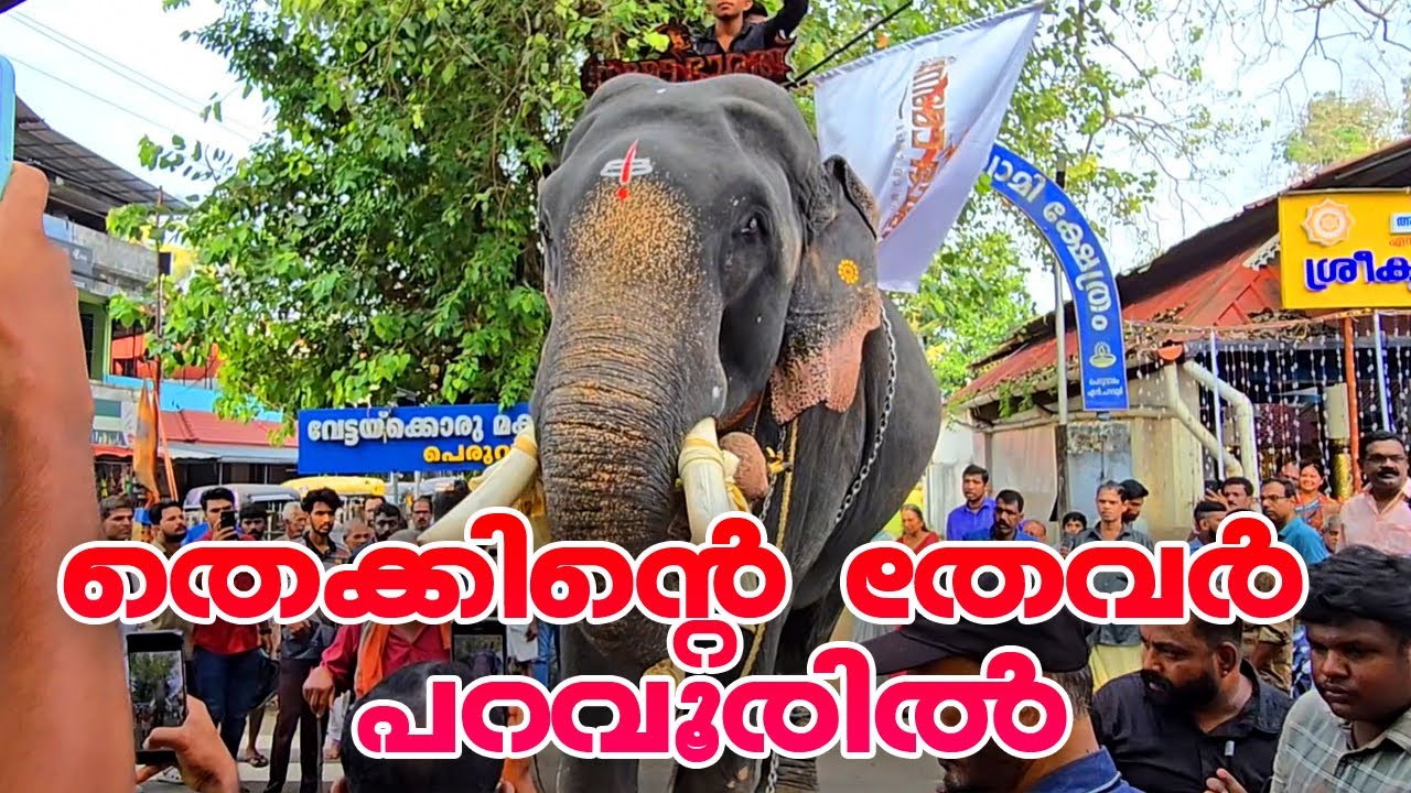 തെക്കിന്റെ തേവർ  പറവൂരിൽ THRIKKADAVOOR SIVARAJU  തൃക്കടവൂർ ശിവരാജു |Thrikkadavoor Sivaraju