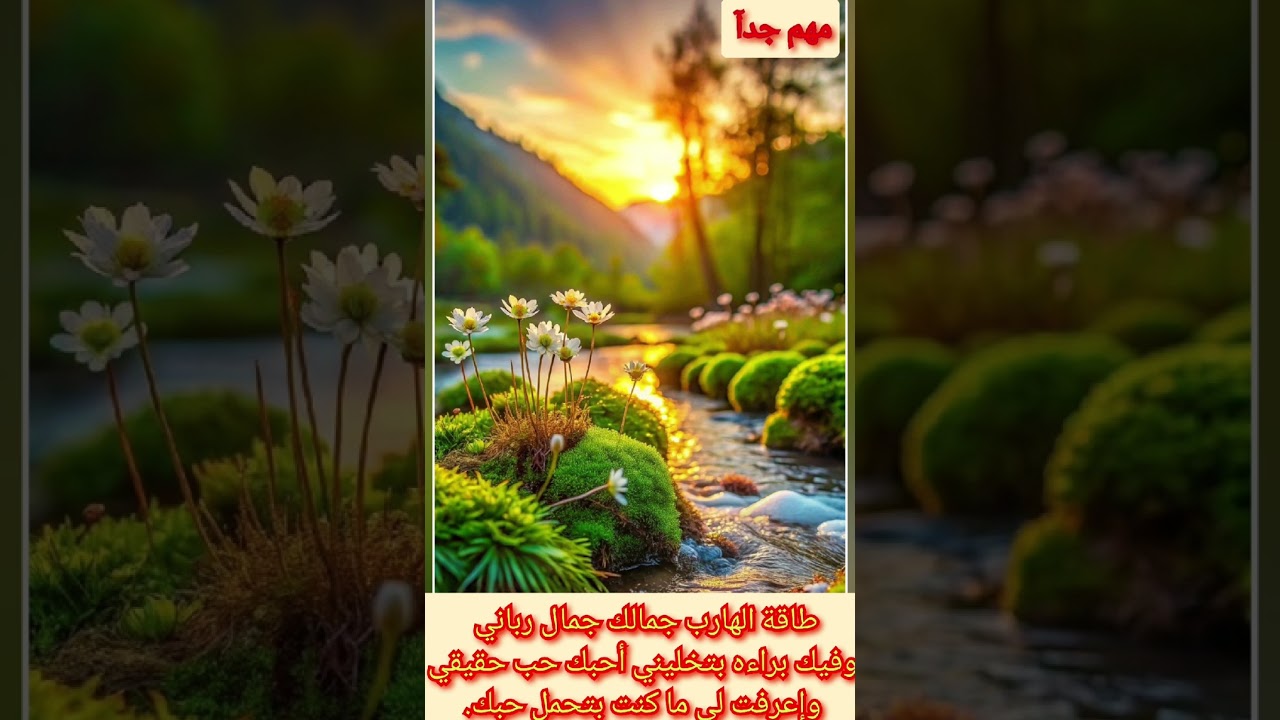 #طاقة #الهارب 