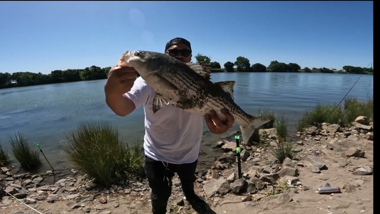 Rio Vista Shore Sesh May 2024