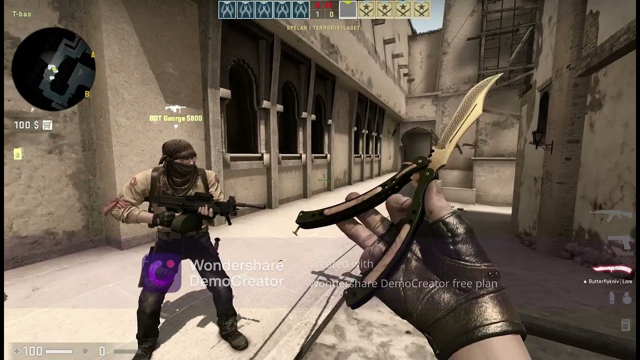 playing csgo with bots