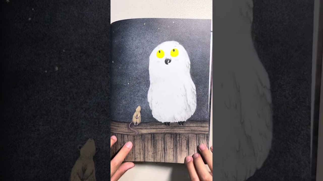 6 years old daily book reading 03/16/26