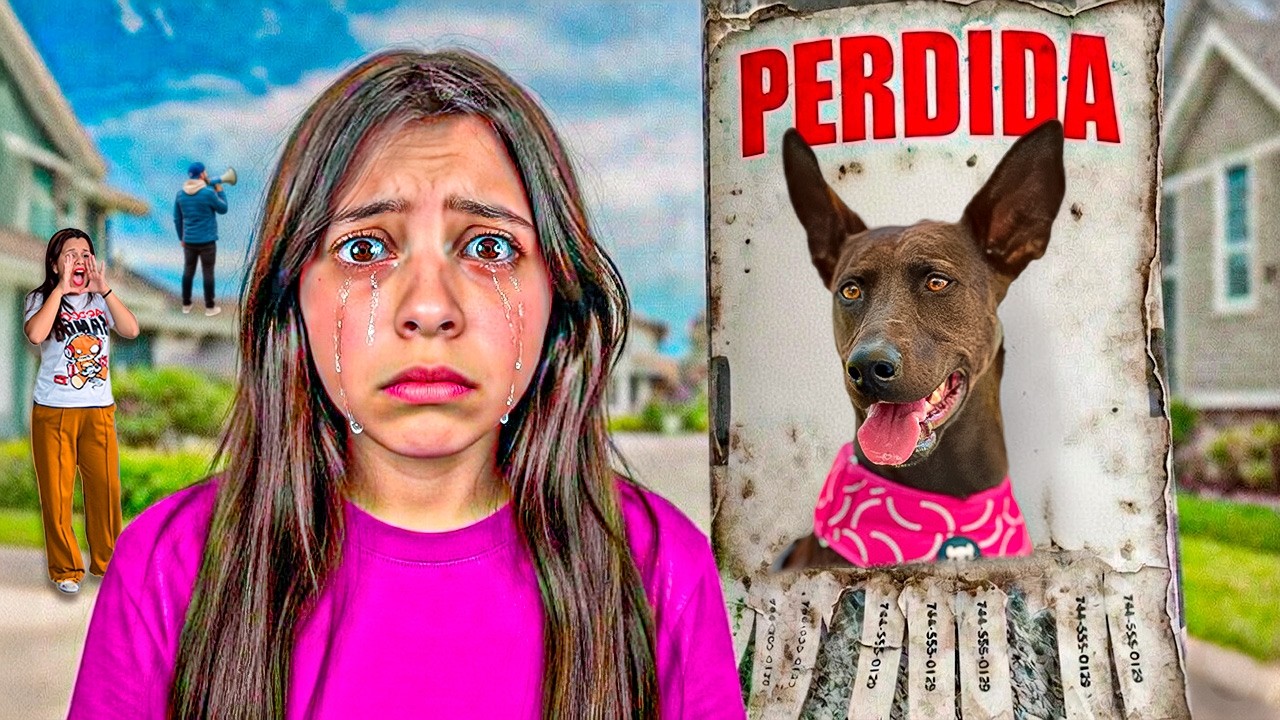 MI PERRITA CANELA SE HA ¡PERDIDO!😨