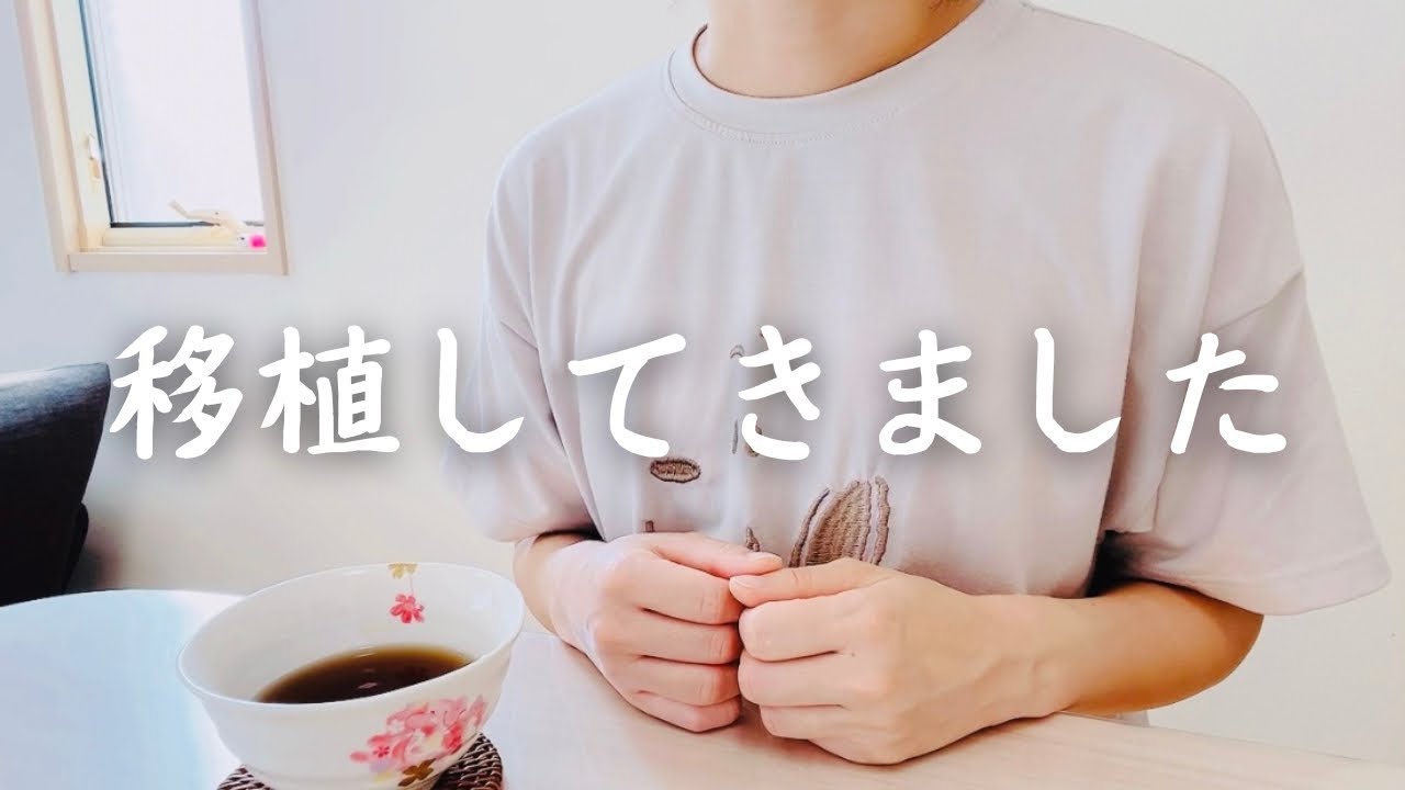 【凍結胚移植】移植日当日の様子/AHAをして卵のグレードは…