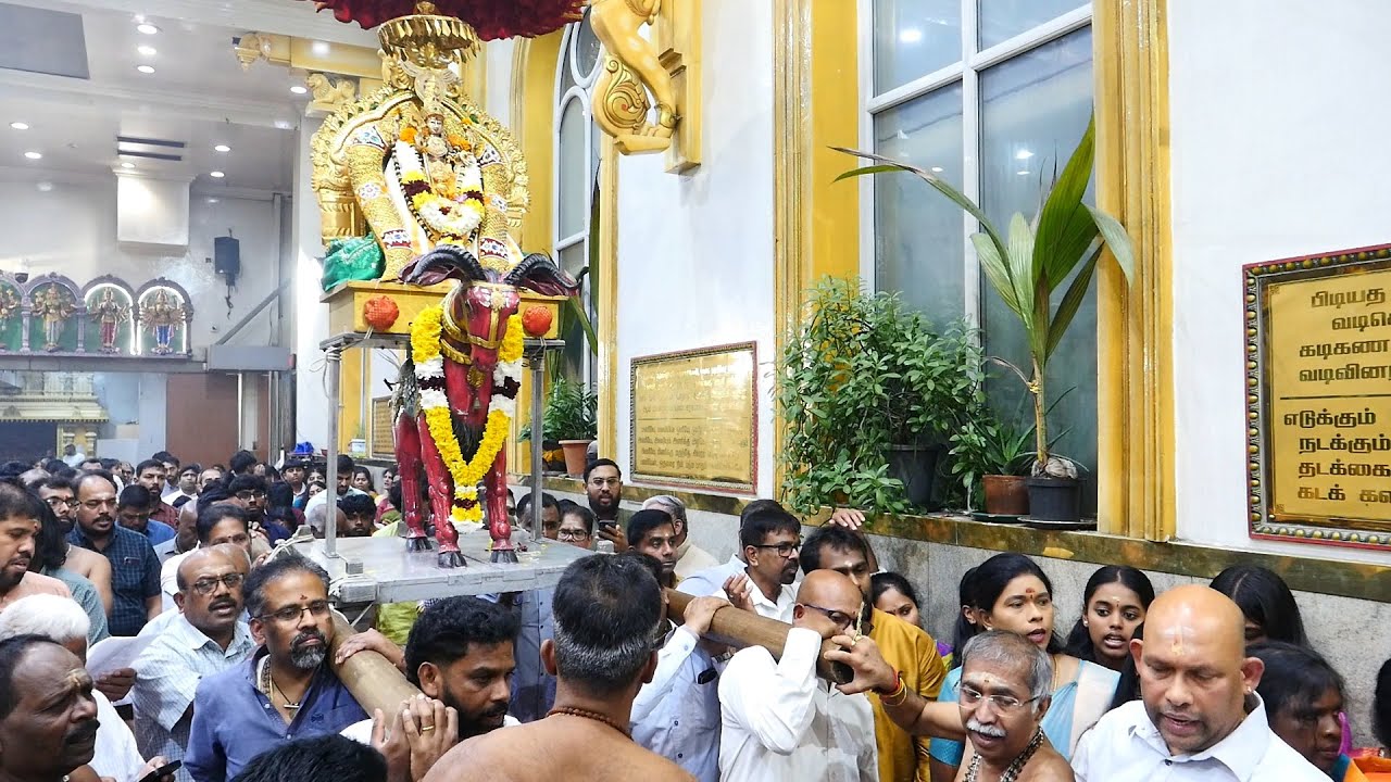Ealing Shri Kanaga Thurrkai Amman Temple skanda sasti day 2 23-10-2025