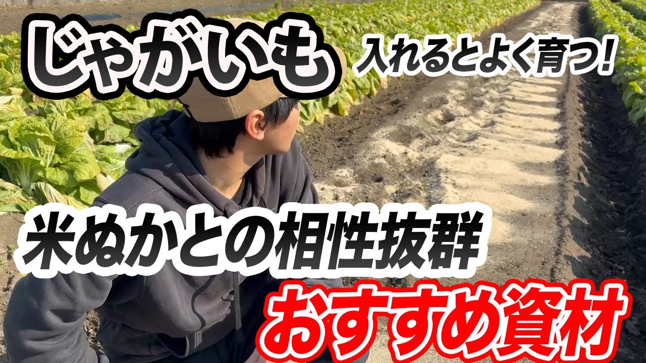 【じゃがいも】これを入れると、しっかり育つ！相性がよすぎる資材
