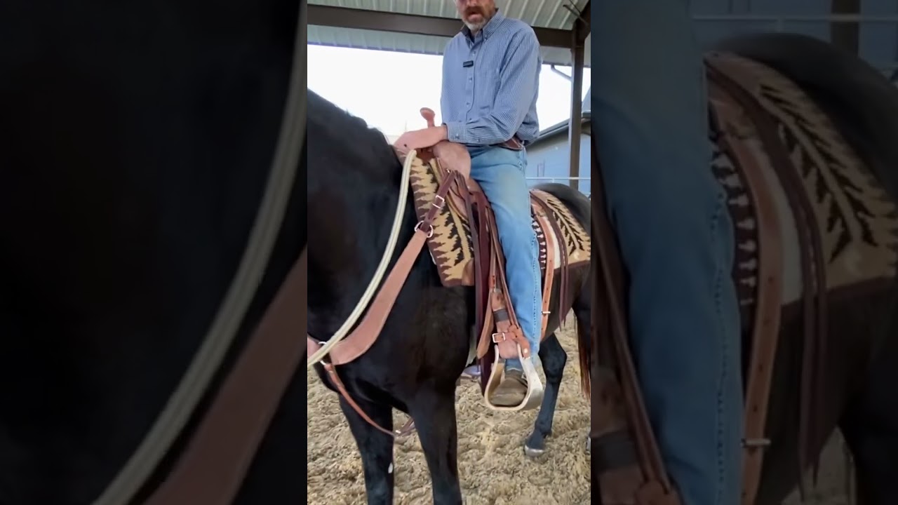 Horses Applying Leg Pressure