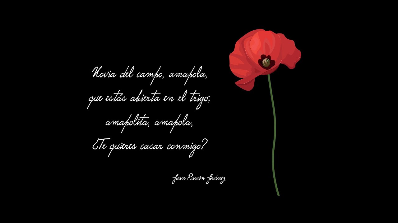 Amapola (La novia del campo)