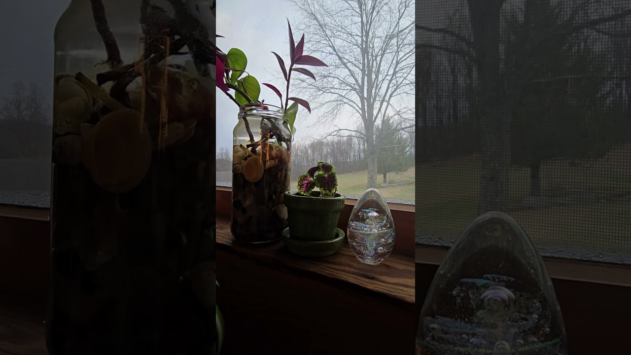 Day 73 Reading the Bible in a year 