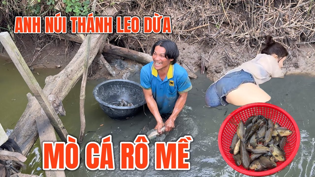 Bất ngờ khi thánh leo dừa mò cá, coconut tree climbing expert catches fish. 0945101202 TÀI